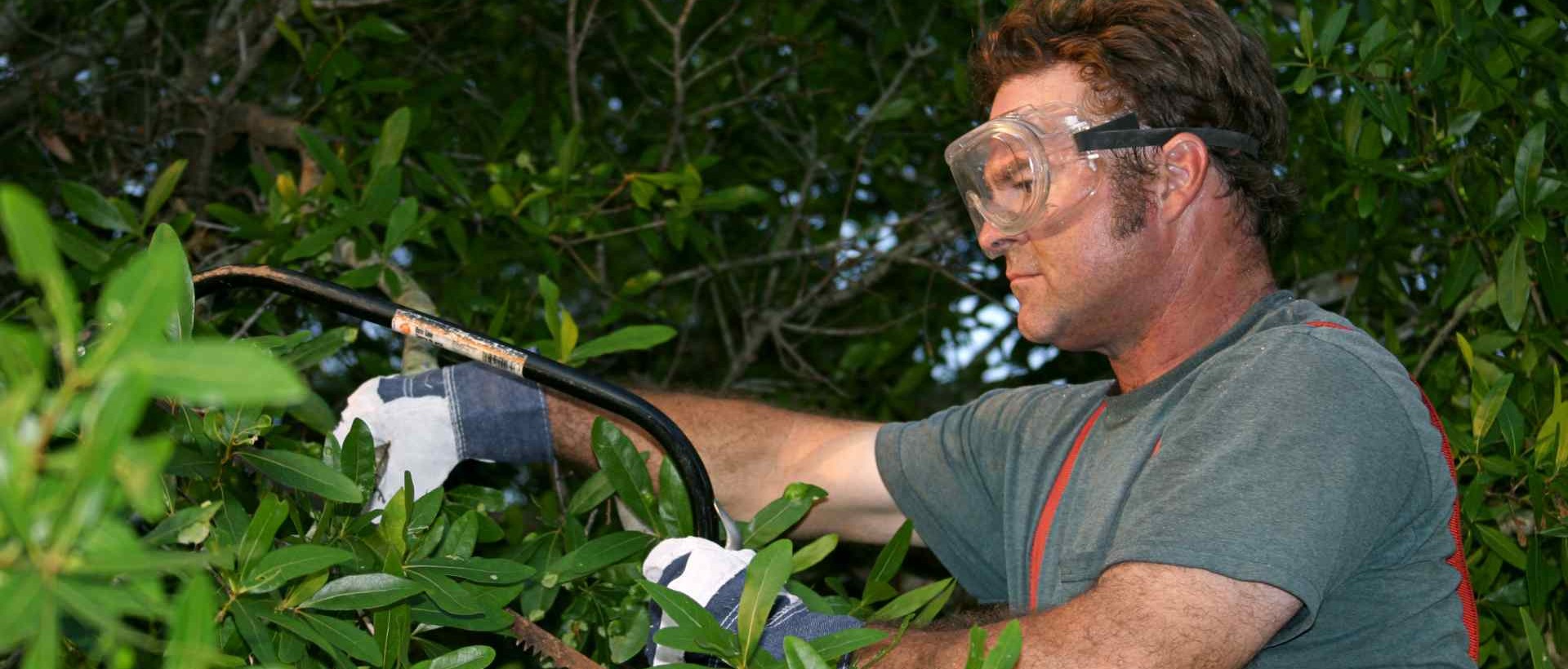 garden clearance DA12